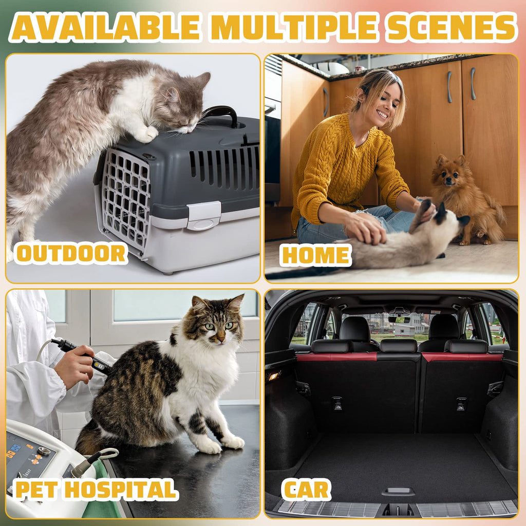 50 Pack Disposable Cat Litter Box X29308